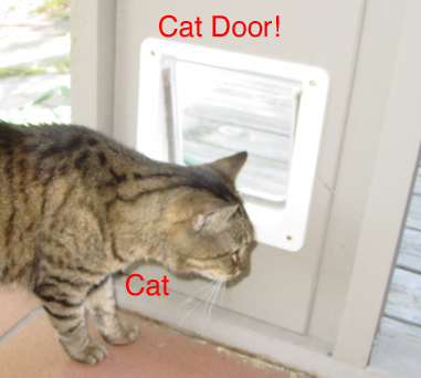 Cat and Cat-Door image