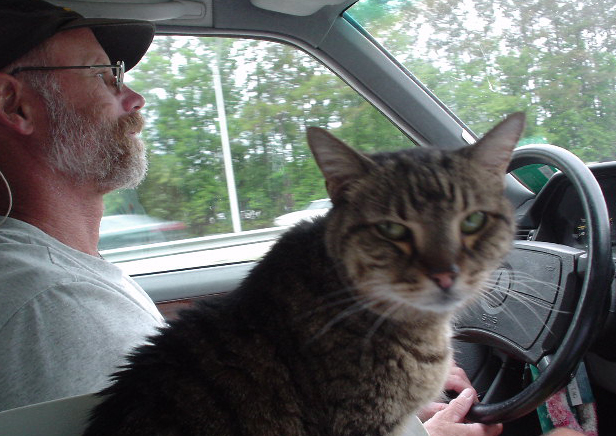 Co-Pilot in the MB-Kayak-Wagen