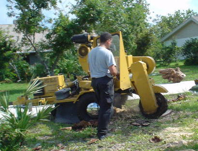 front-tree-stump-grinding