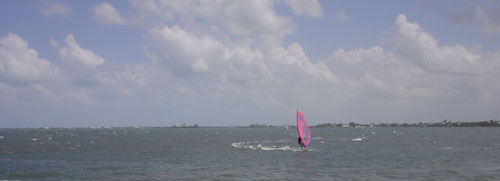 boardsailor at West_Park