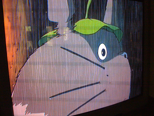 Mr._Totoro_in_rain