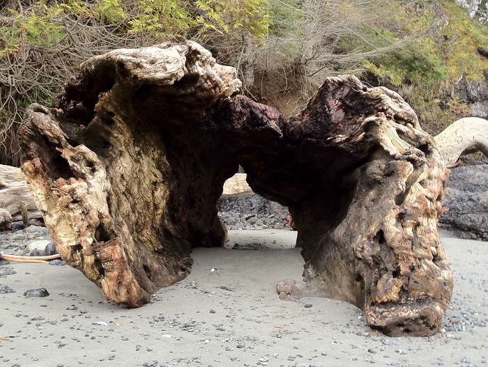 CrescentBeach.log.sm.jpg