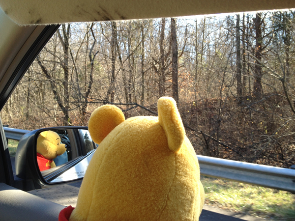 Pooh_traffic_sm.jpg