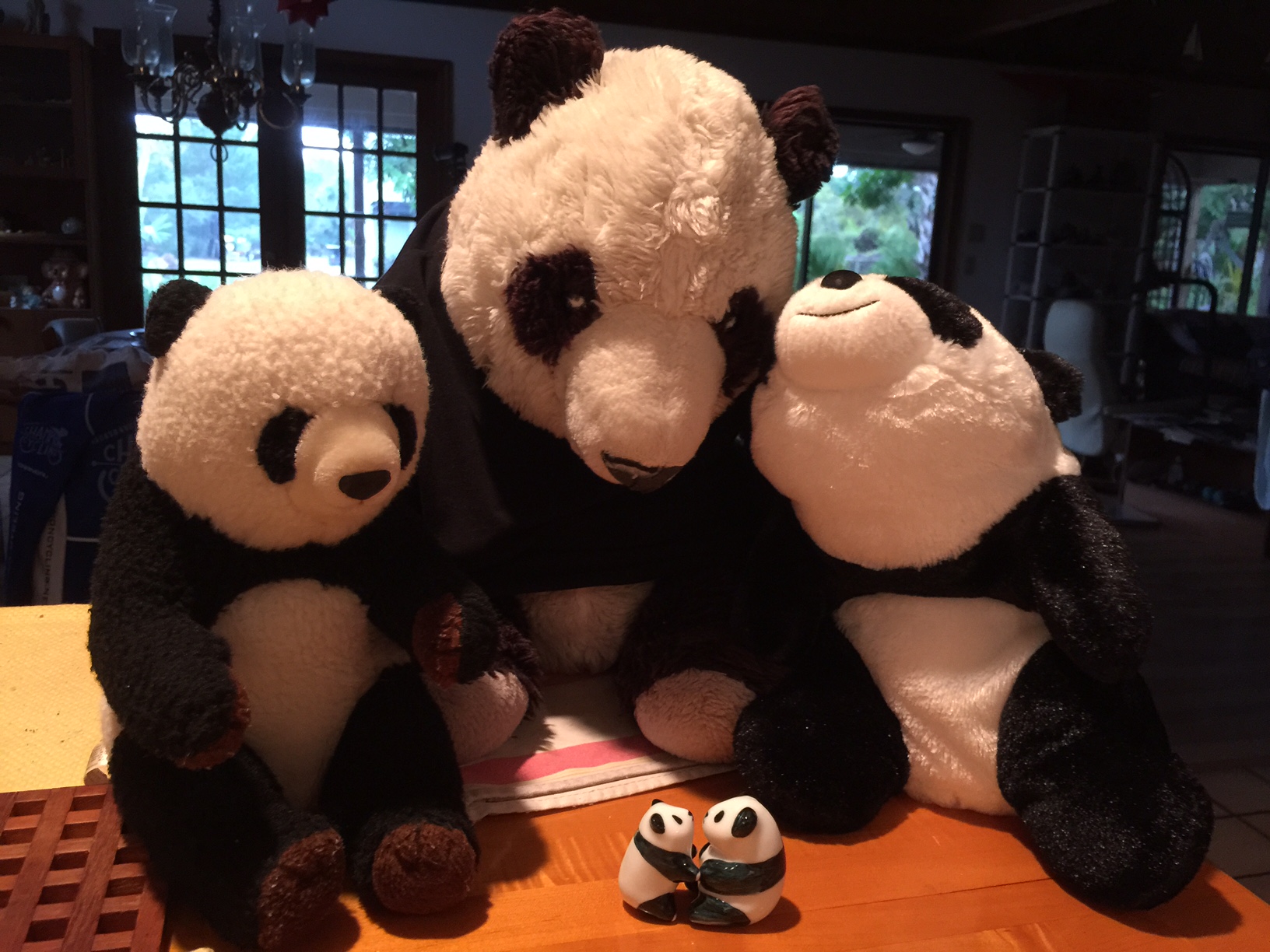 2015_panda_family.jpg