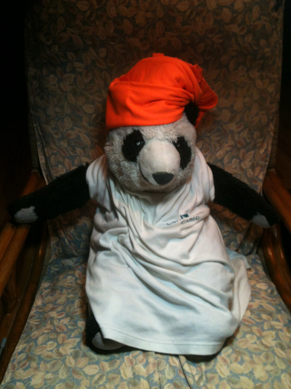 Panda.orangeturban.sm.jpg