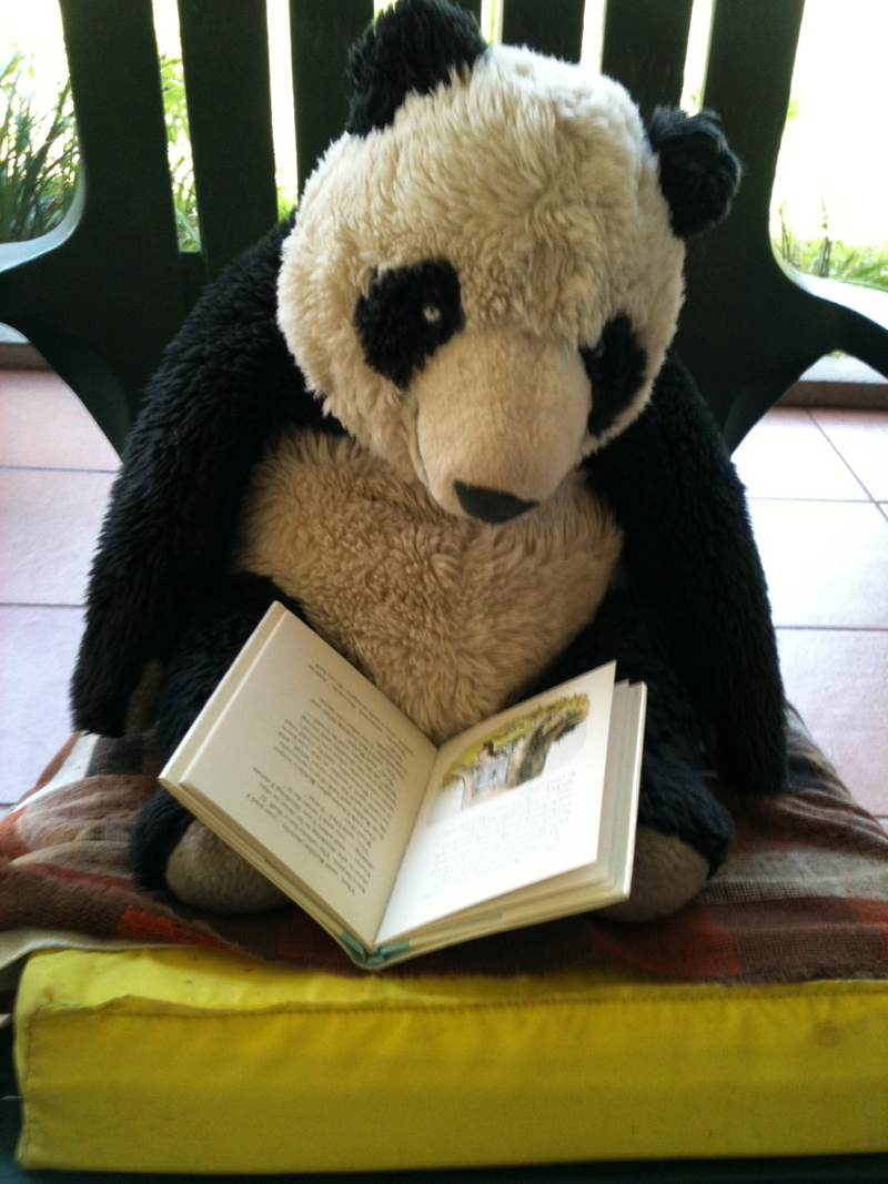 Panda.reading.jpg